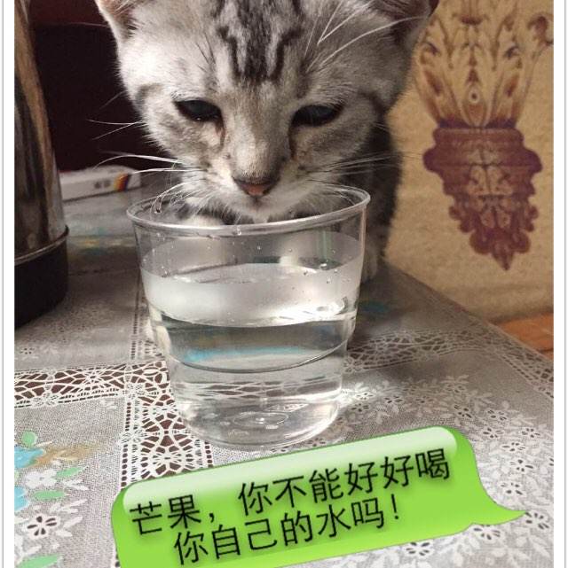 富兰克林大学金融文凭证书